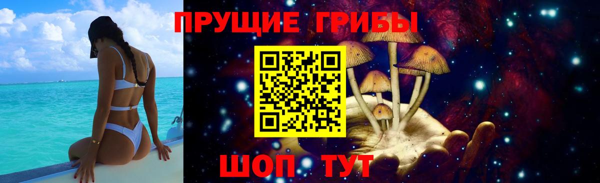 где можно купить наркотик  Вход с VPN  Кимовск  Галлюциногенные грибы мухоморы 
